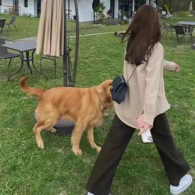 爱情白皮书